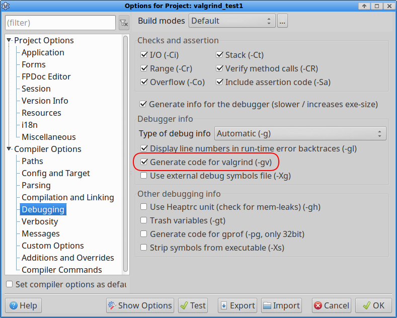 valgrind project options.png